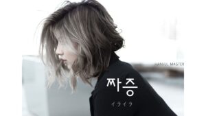 韓国語で「イライラ(癇癪)」とは？【짜증】意味を勉強しよう！