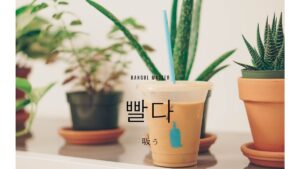 韓国語で「(液体を)吸う」とは?【빨다】意味を勉強しよう!