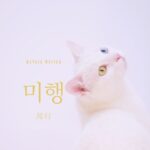 韓国語で「尾行」とは?【미행】意味を勉強しよう!