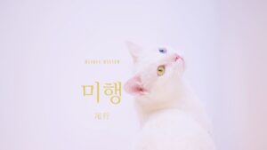 韓国語で「尾行」とは？【미행】意味を勉強しよう！