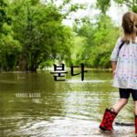 韓国語で「増える」とは?【붇다】意味を勉強しよう!