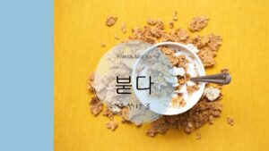 韓国語で「ふやける」とは？【붇다】意味を勉強しよう！