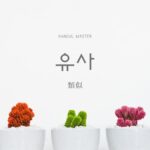 韓国語で「類似」とは?【유사】意味を勉強しよう!