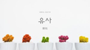 韓国語で「類似」とは？【유사】意味を勉強しよう！