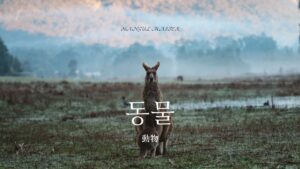 韓国語で「動物」とは?【동물】動物の名前まとめ