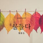 韓国語で「染まる」とは?【물들다】意味を勉強しよう!