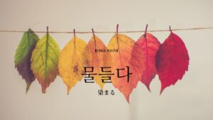 韓国語で「染まる」とは?【물들다】意味を勉強しよう!