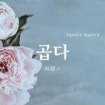 韓国語で「綺麗」とは?【곱다】意味を勉強しよう!
