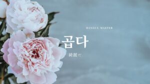 韓国語で「綺麗」とは?【곱다】意味を勉強しよう!