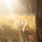 韓国語「(太陽が)上がる/昇る」とは？【뜨다】意味を勉強しよう！