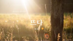 韓国語「(太陽が)上がる/昇る」とは？【뜨다】意味を勉強しよう！
