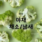 韓国語「野菜」とは?【야채/채소/남새】野菜の名前45選