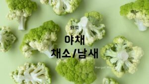 韓国語「野菜」とは？【야채/채소/남새】野菜の名前45選