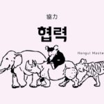 韓国語で「協力」とは?【협력】意味を勉強しよう!