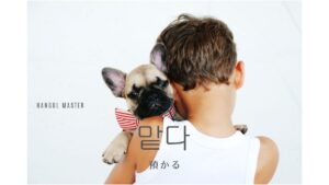 韓国語で「預かる」とは？【맡다】意味を勉強しよう！