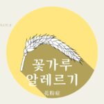 韓国語で「花粉症」とは?【꽃가루 알레르기】意味を勉強しよう!
