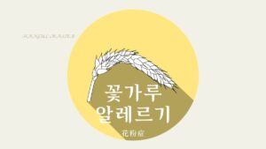 韓国語で「花粉症」とは？【꽃가루 알레르기】意味を勉強しよう！