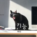 韓国語で「機能」とは?【기능】意味を勉強しよう!