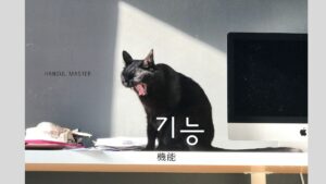 韓国語で「機能」とは?【기능】意味を勉強しよう!