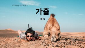 韓国語で「家出」とは？【가출】意味を勉強しよう！