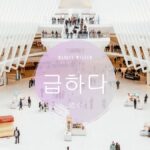 韓国語で「急ぐ」とは?【급하다】意味を勉強しよう!