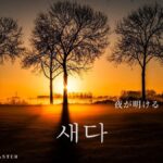 韓国語で「夜が明ける」「徹夜する」とは？【새다】意味を学ぶ！