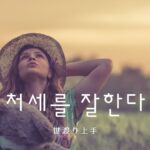 韓国語で「世渡り上手」とは?【처세를 잘한다】意味を勉強しよう!