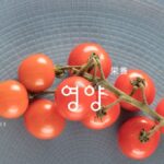 韓国語で「栄養」とは？【영양】意味を勉強しよう！