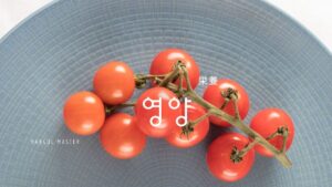 韓国語で「栄養」とは?【영양】意味を勉強しよう!