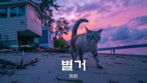 韓国語で「別居」とは?【별거】意味を勉強しよう!