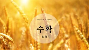 韓国語で「収穫」とは?【수확】意味を勉強しよう!