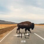 韓国語で「避難」とは?【피난】意味を勉強しよう!