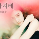 韓国語で「社交辞令」とは？【인사치레】意味を勉強しよう！