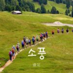 韓国語で「遠足」とは?【소풍】意味を勉強しよう!