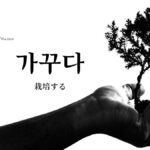 韓国語で「栽培する」とは？【가꾸다】意味を勉強しよう！