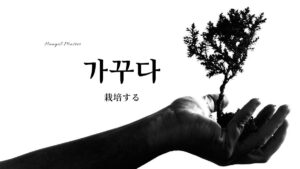 韓国語で「栽培する」とは?【가꾸다】意味を勉強しよう!