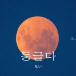 韓国語で「丸い」とは?【둥글다】意味を勉強しよう!