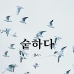 韓国語で「多い」とは？【숱하다】意味を勉強しよう！