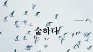 韓国語で「多い」とは？【숱하다】意味を勉強しよう！