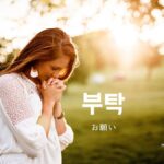韓国語で「お願い」とは?【부탁】意味を勉強しよう!