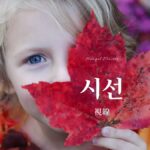 韓国語で「視線」とは？【시선】意味を勉強しよう！