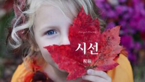 韓国語で「視線」とは？【시선】意味を勉強しよう！