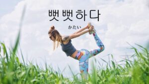 韓国語で「かたい」とは？【뻣뻣하다】意味を勉強しよう！
