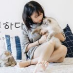 韓国語で「ふわふわだ」とは?【폭신하다】意味を勉強しよう!