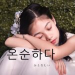 韓国語で「おとなしい」とは?【온순하다】意味を勉強しよう!