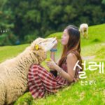 韓国語で「ときめく」とは?【설레다】意味を勉強しよう!