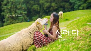 韓国語で「ときめく」とは?【설레다】意味を勉強しよう!