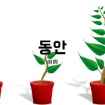 韓国語で「期間/間」とは?【동안】意味を勉強しよう!