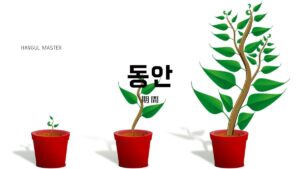 韓国語で「期間/間」とは?【동안】意味を勉強しよう!