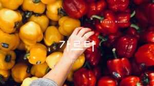 韓国語で「分ける」とは?【가르다】意味を勉強しよう!